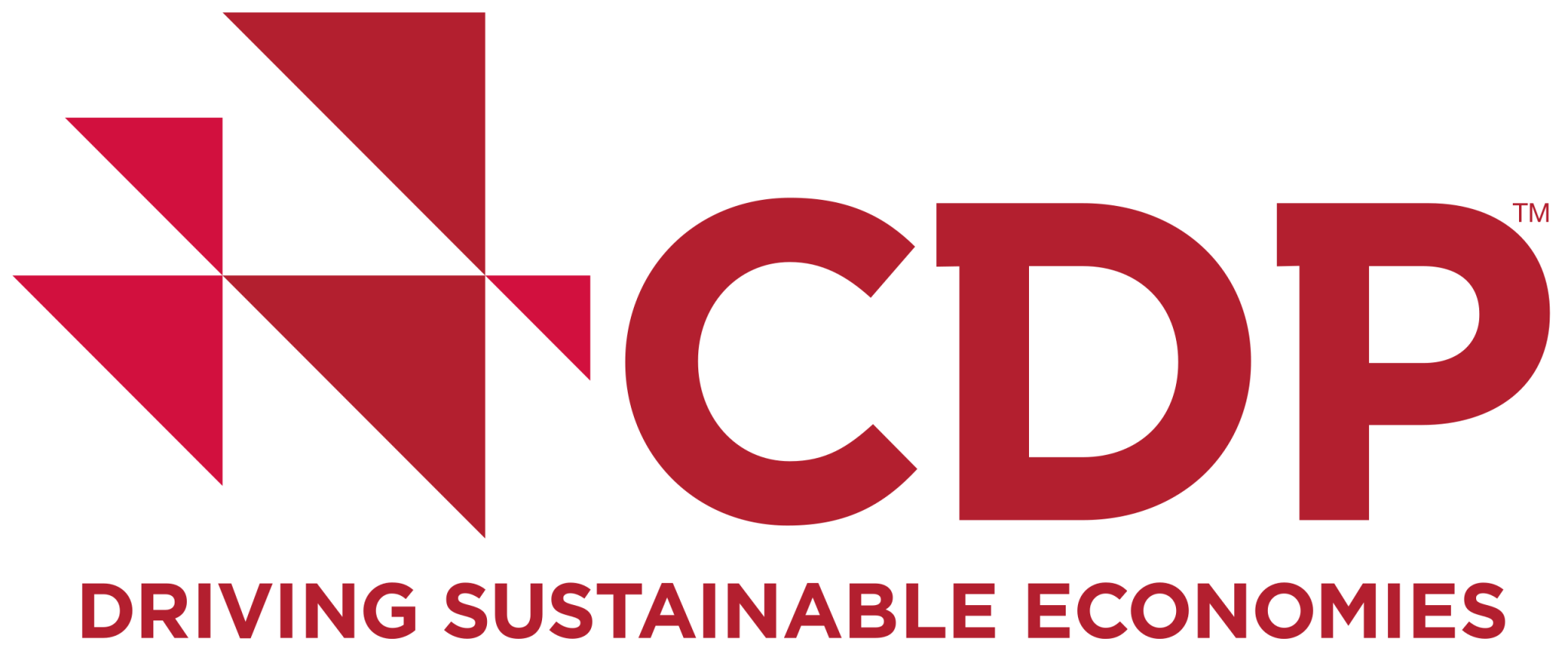 CDP – Karbon Saydamlık Beyanı Megayol Mühendislik Çevre İş Sağlığı ve Güvenliği İnş. San. ve Tic. Ltd. Şti